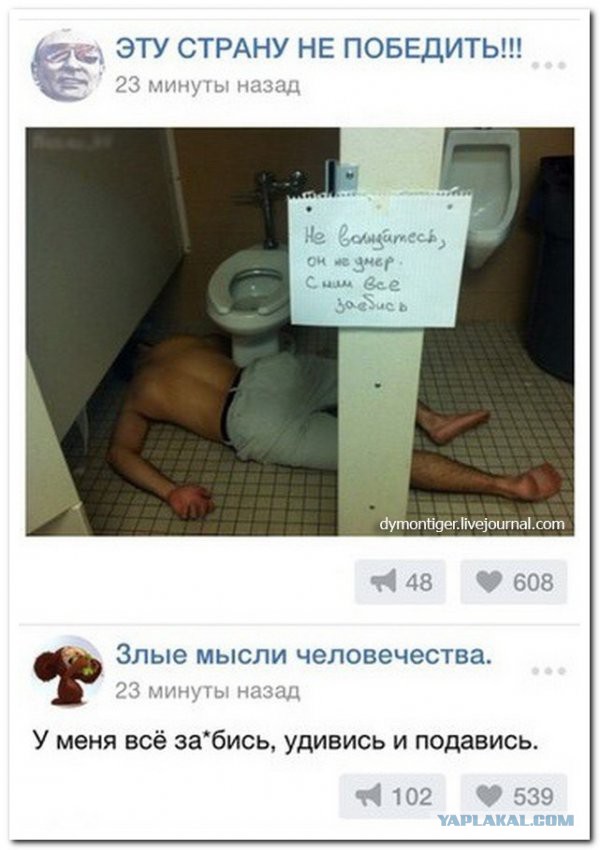 Смешные комментарии из социальных сетей