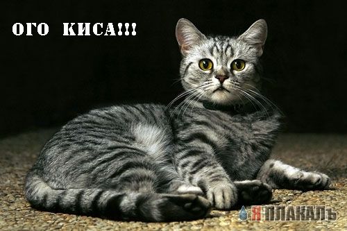 Уже да :) Ужо пятнецца...