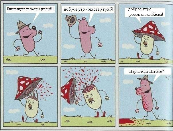 Порция абсурдного юмора на следующую неделю