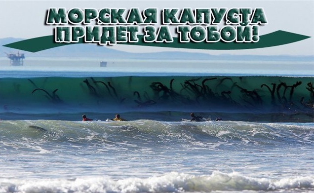 Деградации ЯПу от Креизи