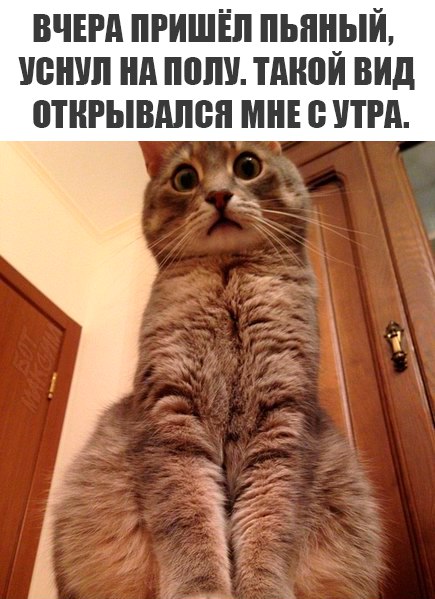 Журнал школьный деградант