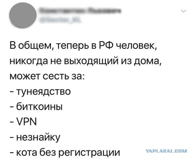 В Петербурге автор поста «ВКонтакте» получил два года строгого режима за унижение чиновников