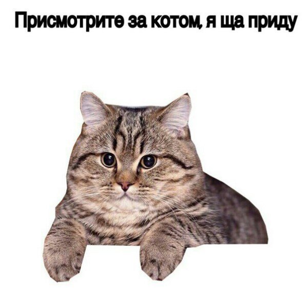 Антидепрессанты на понедельник.