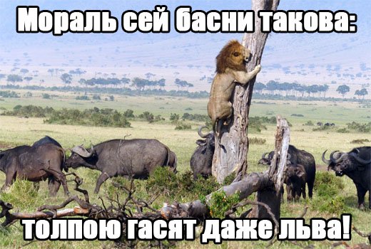 "Зая, не надо!"