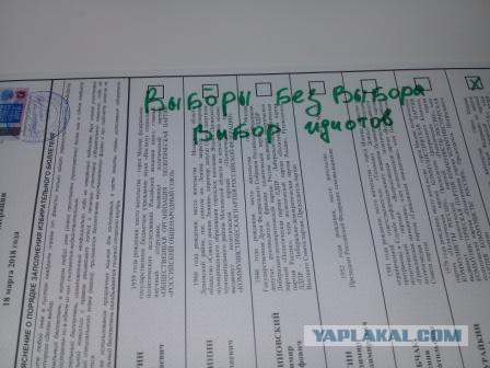 Подборка странных и забавных фото и скринов с избирательных участков 2018