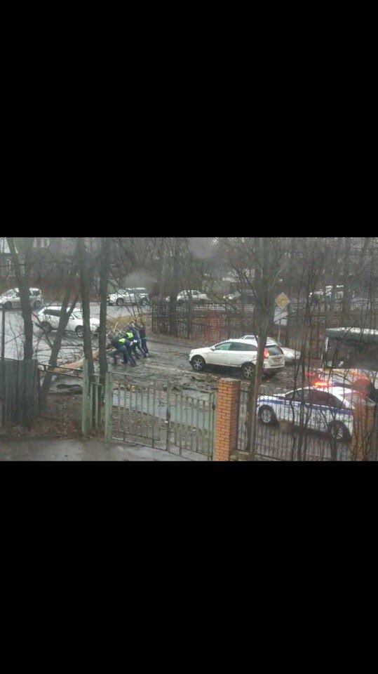 В Москве из-за шторма пострадали 12 человек