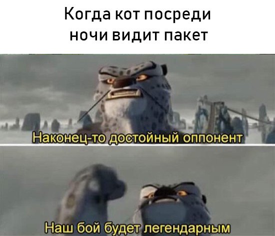 Немного картинок в этот четверг