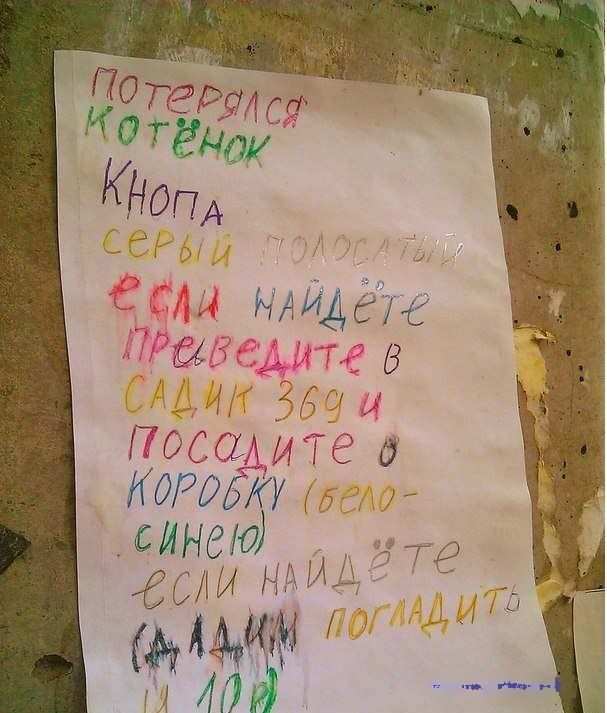 Подборка интересных и веселых картинок