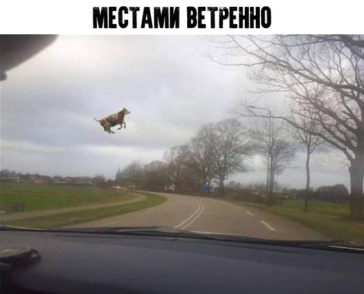 Немного картинок для настроения