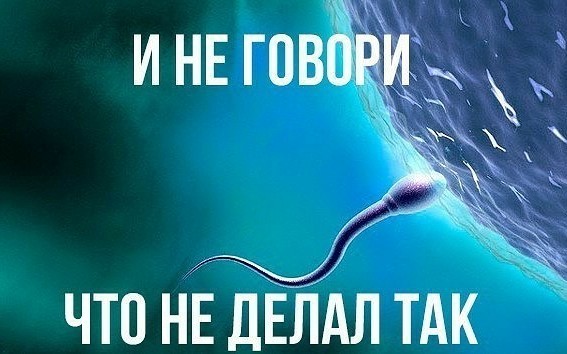 Набор разных картинок 17/10