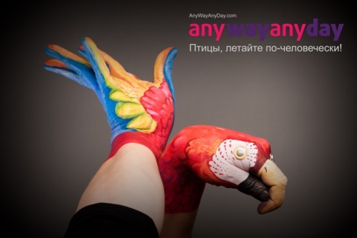 Концепция для AnyWayAnyDay