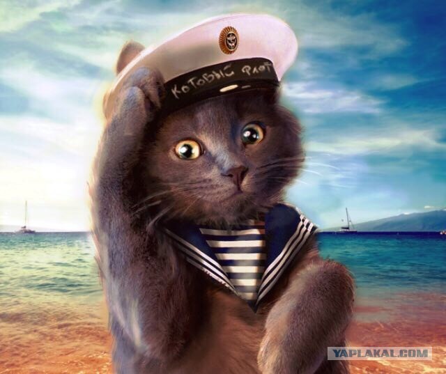 World of Warships - 8