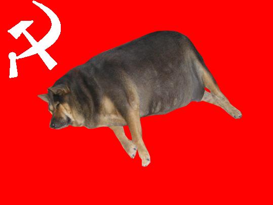 Фотожаба: О чем же думает собака?....