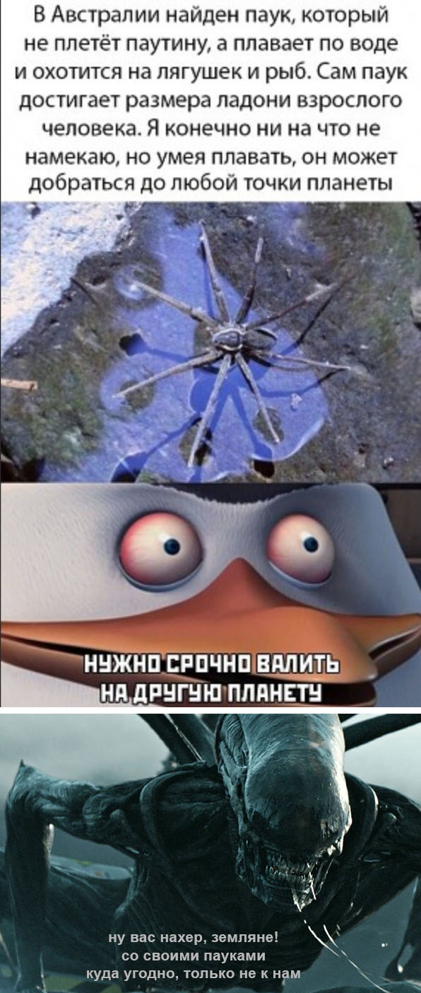 Бредзона 15.05.20