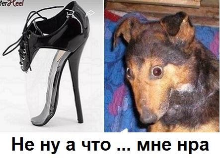 Али жжот