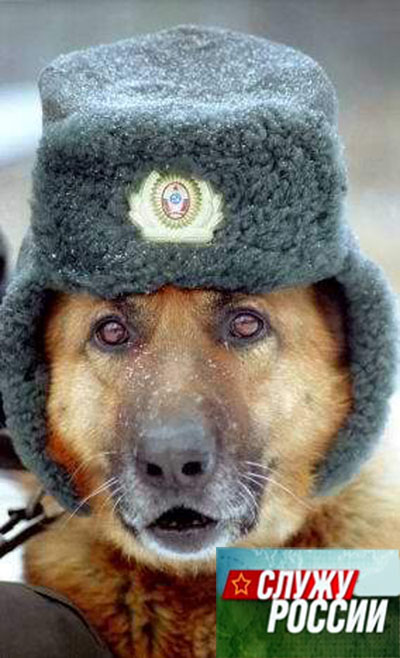 Фотожаба: ТВ программа