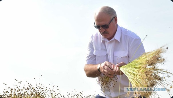 Братская Белорусь
