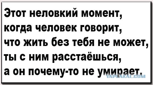 Бредзона 08.09.2020