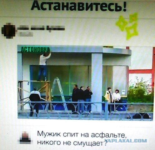 Фотки и картинки: юморные и красивые, забавные и милые 15.10.20