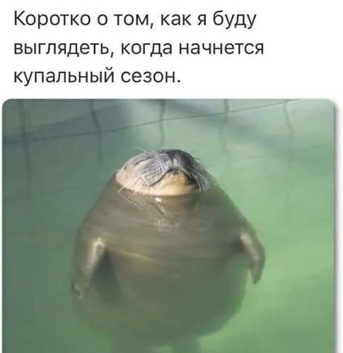 Картинки и мемы для настроения 05.05.2021