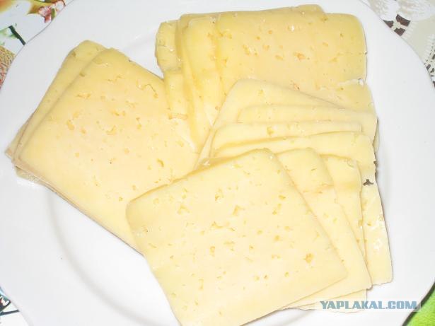 Вся правда о КАБАЧКАХ и ЦУККИНИ