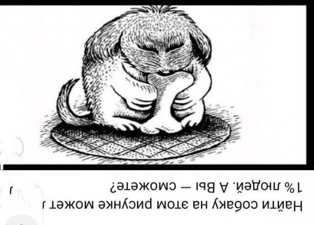 Всяческие картинки 22.06.2021