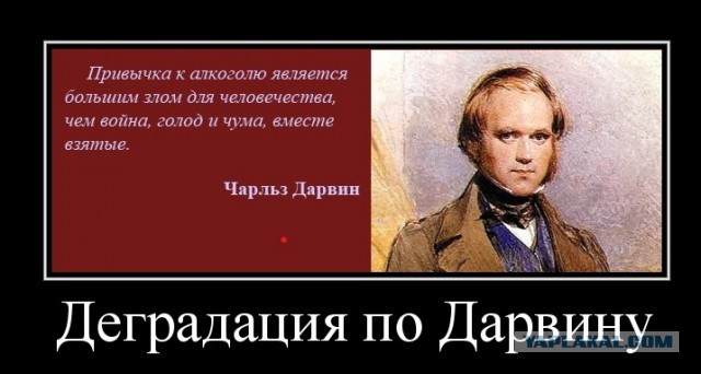 Кодировка от алкоголизма, правда или вымысел