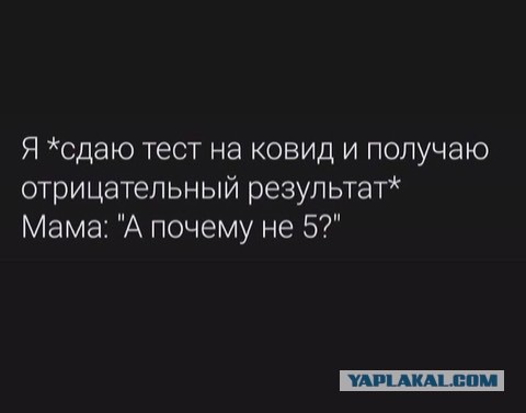 Весёлый полтишок 29.10