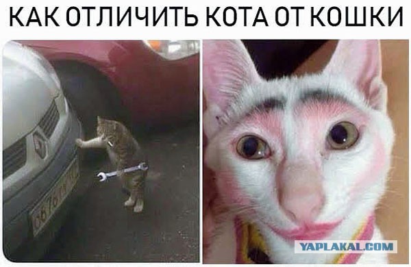 Вот она разница