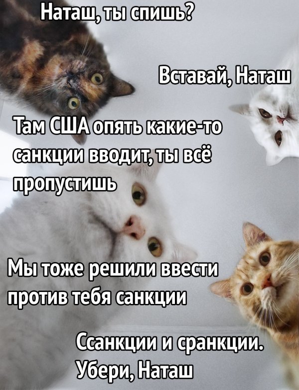 Прикольные и просто красивые картинки 27.04.2022