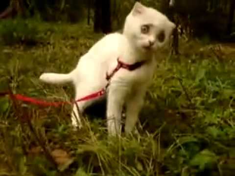 Что мне делать?Новосибирск-помогите.