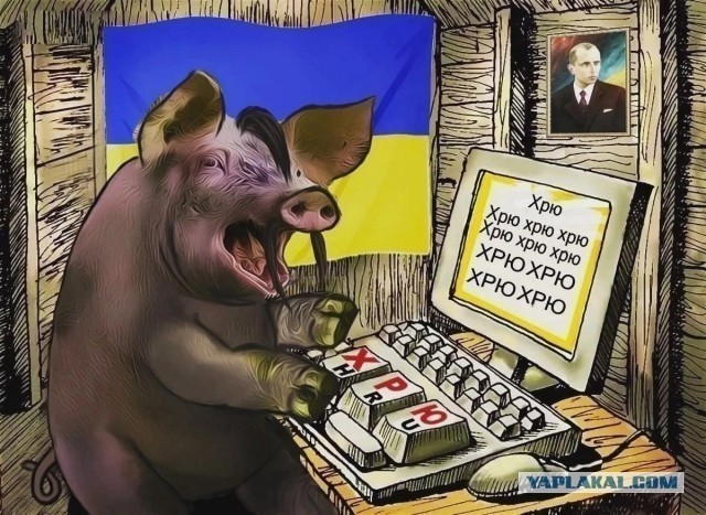 Мародёры