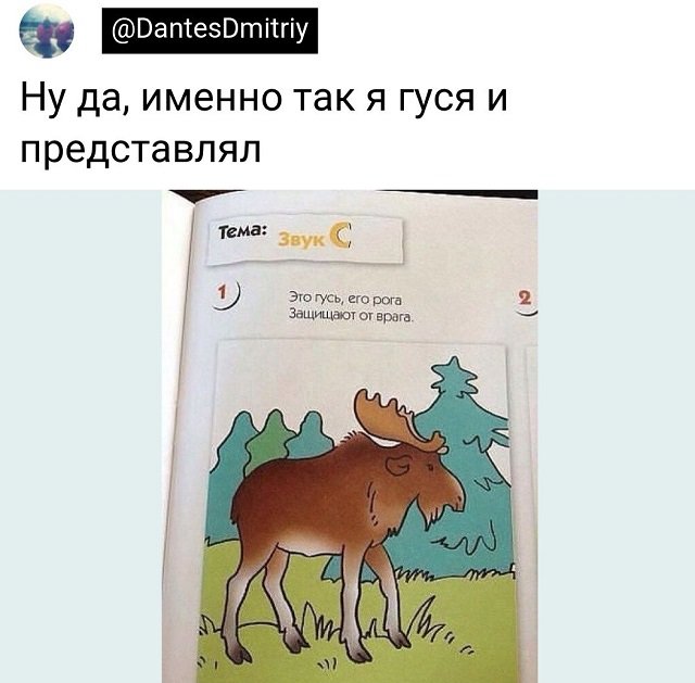 Картинки и мемы для настроения - 133