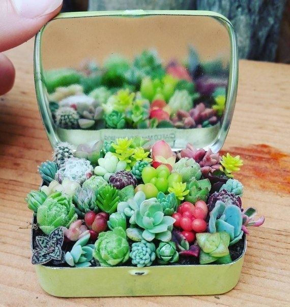 Красивые и необычные картинки