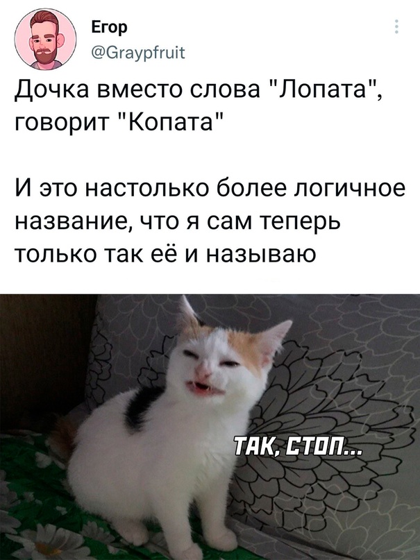 Весёлый полтишок 28.02.23
