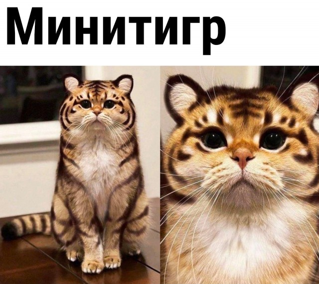 Немного картинок для настроения - 151