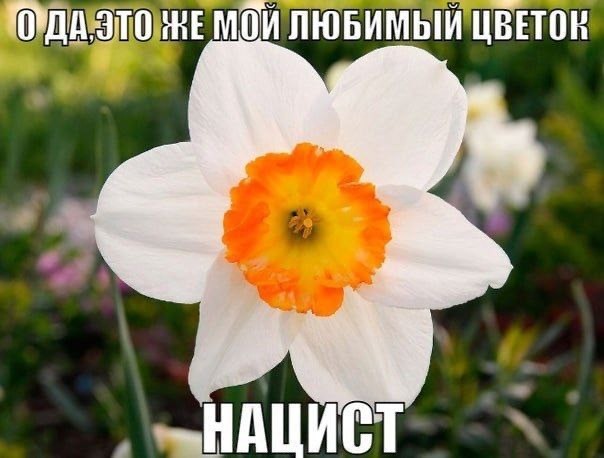 Набор картинок