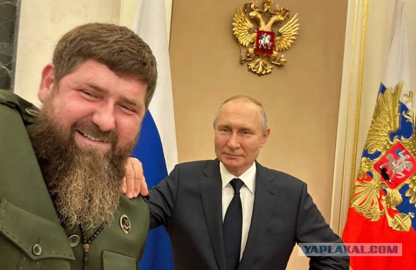 За 12 лет число защит кандидатских в РФ сократилось более чем на 60%