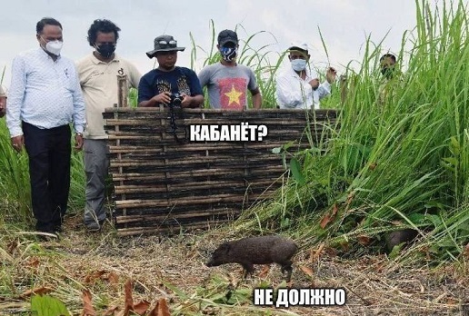 Как понять, что ваши друзья - алкоголики?