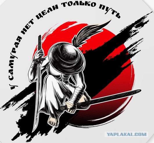 Скажем прямо, шансов у дамы-пешехода было немного