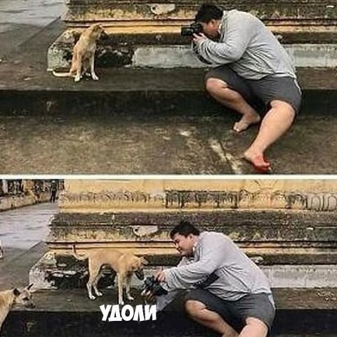 Храните свои данные в облаке. Это безопасно