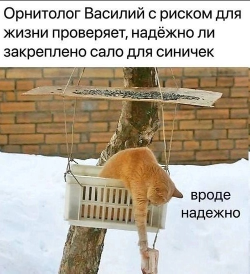 Так себе картинки 06.12.24