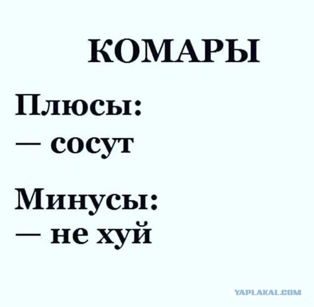 30 картинок на субботу