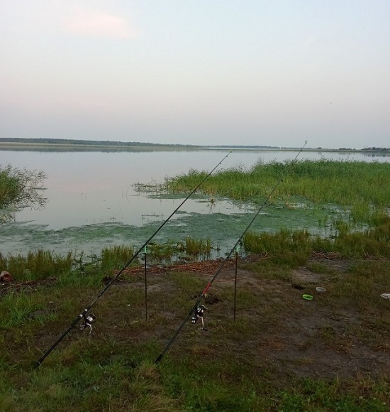 Гляньте красотищу