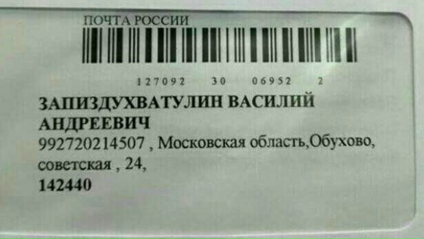 Котик поприветствовал киску