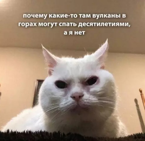 Котямбосы