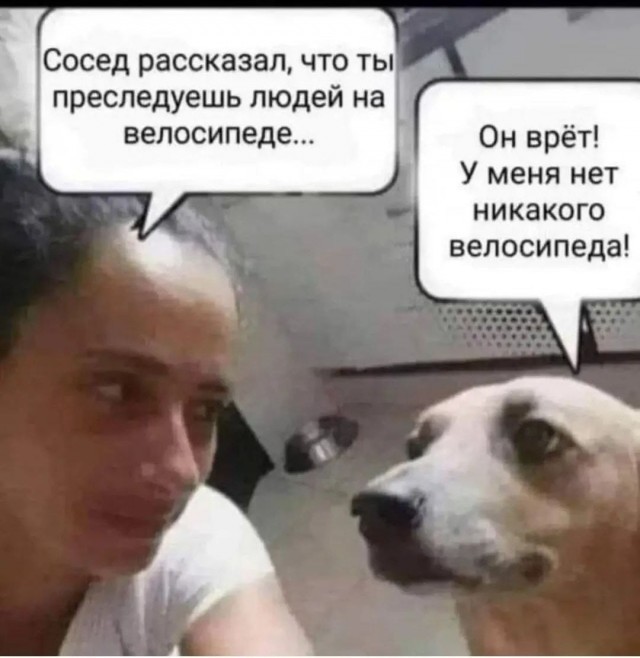Си Цзиньпин прибыл в Северную Корею впервые за семь лет