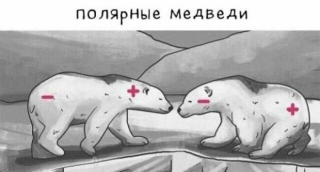 Картинки для деградации 223 (разной степени свежести)