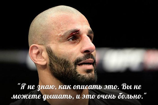 БОКС/MMA....