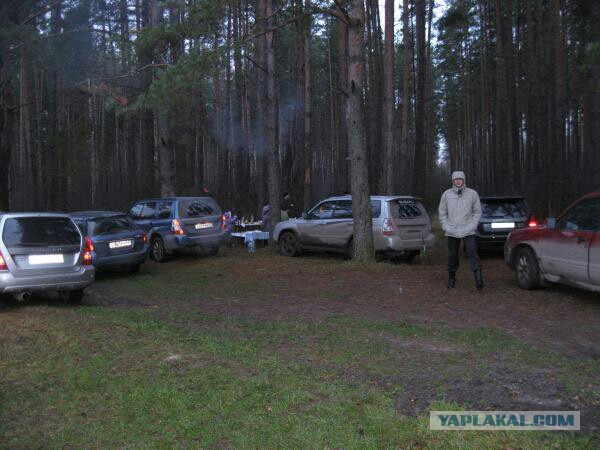 Subaru - небесное сияние плеяд